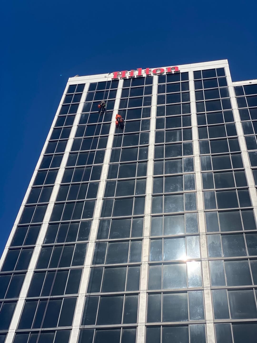 Two Basile technicians on rope access descending the glass curtain wall of a South Florida high-rise