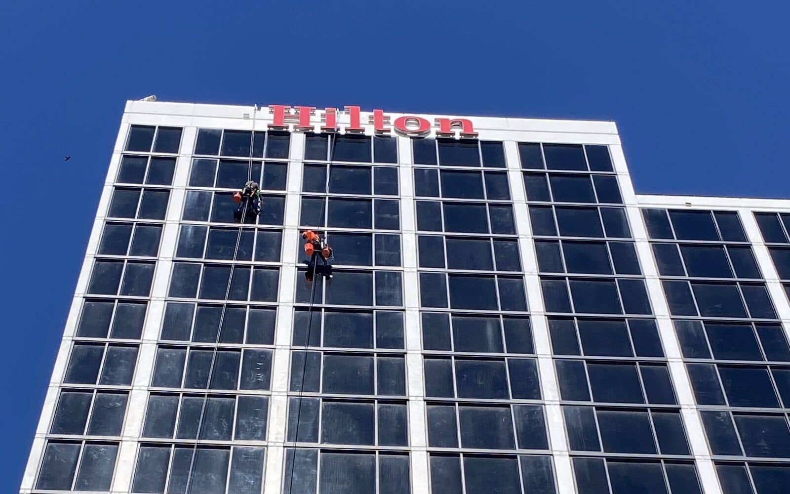 Basile technicians working on ropes across the glass facade of the Hilton Miami Downtown, directly beneath the rooftop Hilton sign