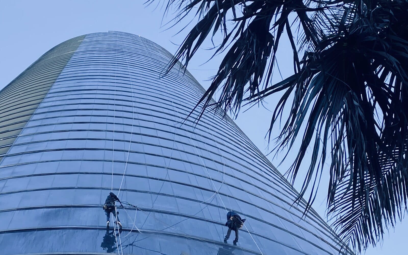 Two Basile rope-access technicians descending the curved glass facade of the Porsche Design Tower in Sunny Isles Beach, palm fronds in the foreground